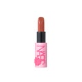 811A SPICE UP(THE BEAUTY IN BLOOM COLLECTION)