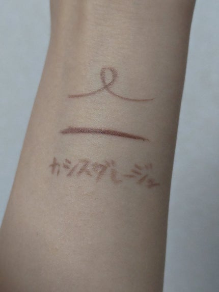 シルキーリキッドアイライナーWP カシスグレージュ/D-UP/リキッドアイライナーの画像