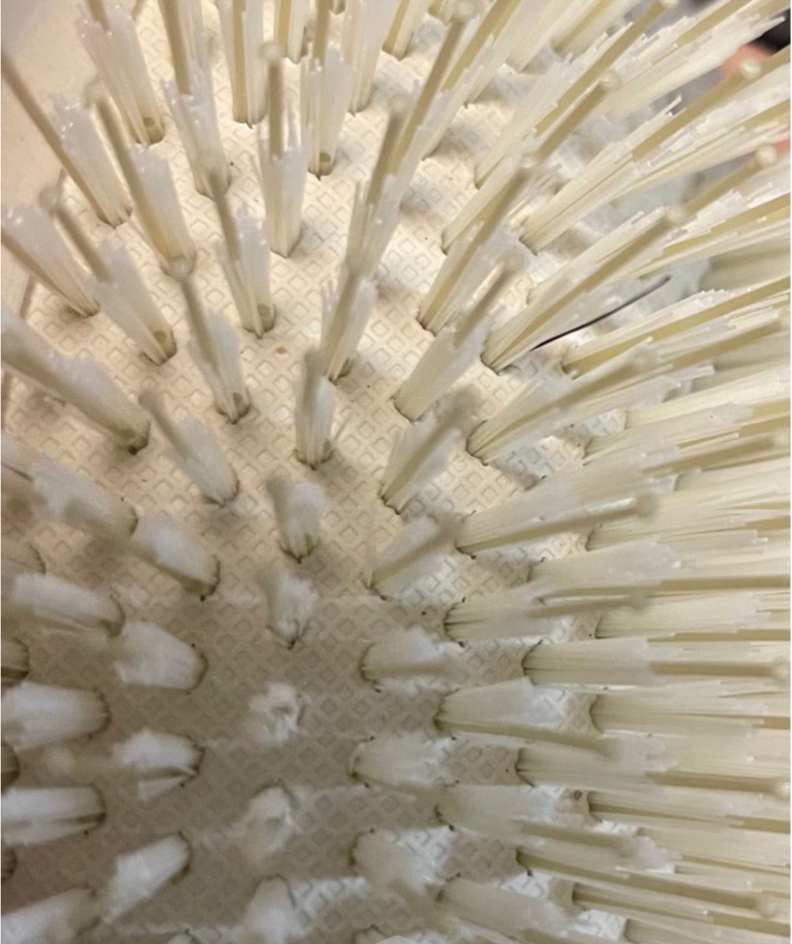 shine detangler hair brush/arwe/ヘアブラシを使ったクチコミ（2枚目）