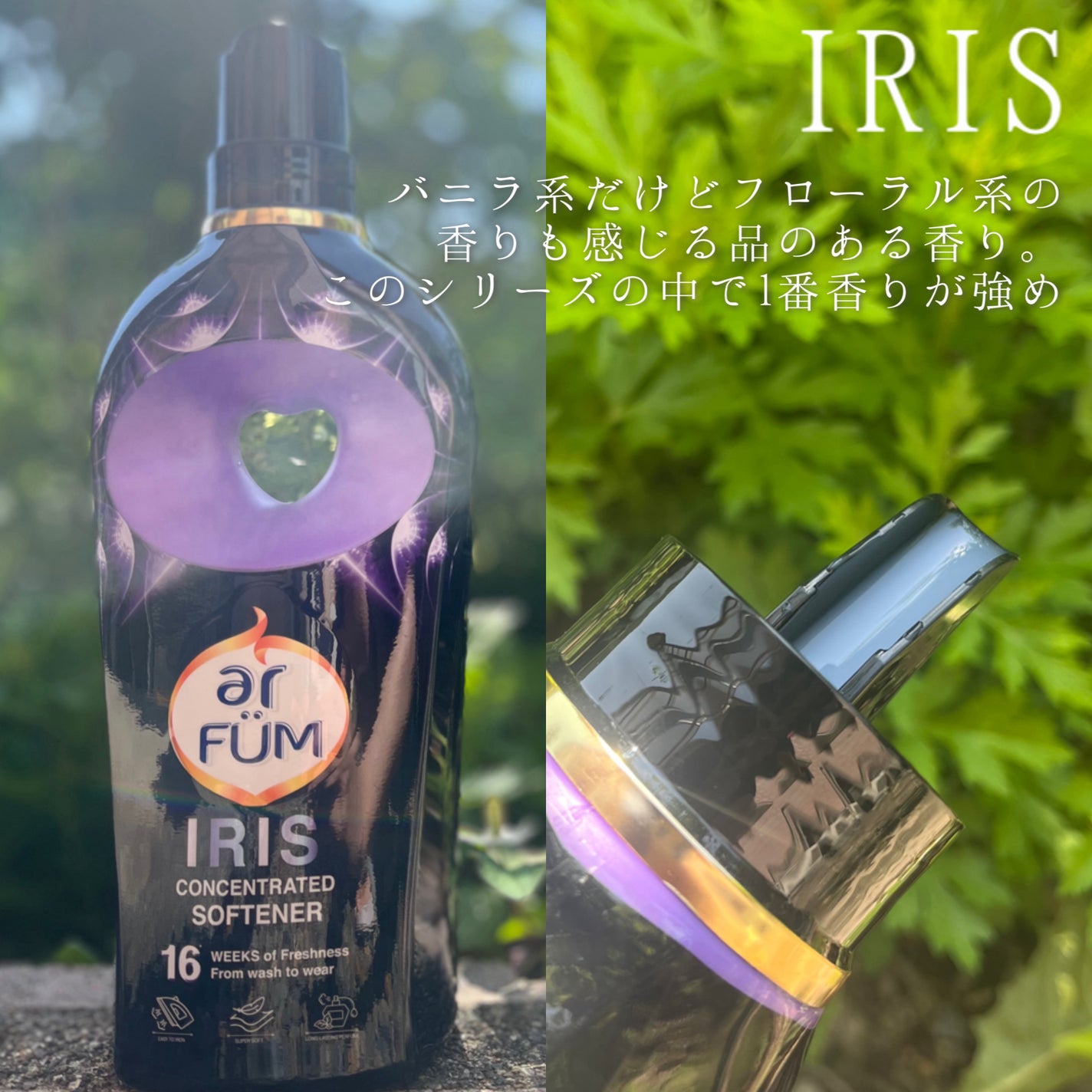 BLACK LABEL ロマンティック アイリス バニラ&カカオの優しい香り/arFUM/柔軟剤を使ったクチコミ(4枚目)