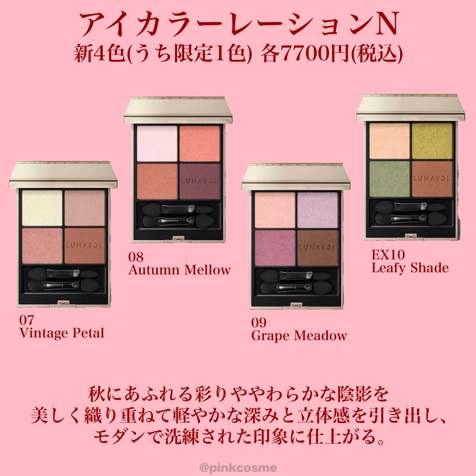 ルナソル アイカラーレーションN/LUNASOL/アイシャドウパレットを使ったクチコミ（2枚目）