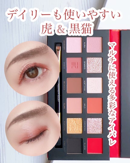 エクスプローラ12色 動物アイシャドウパレット/PERFECT DIARY/アイシャドウパレットを使ったクチコミ(1枚目)