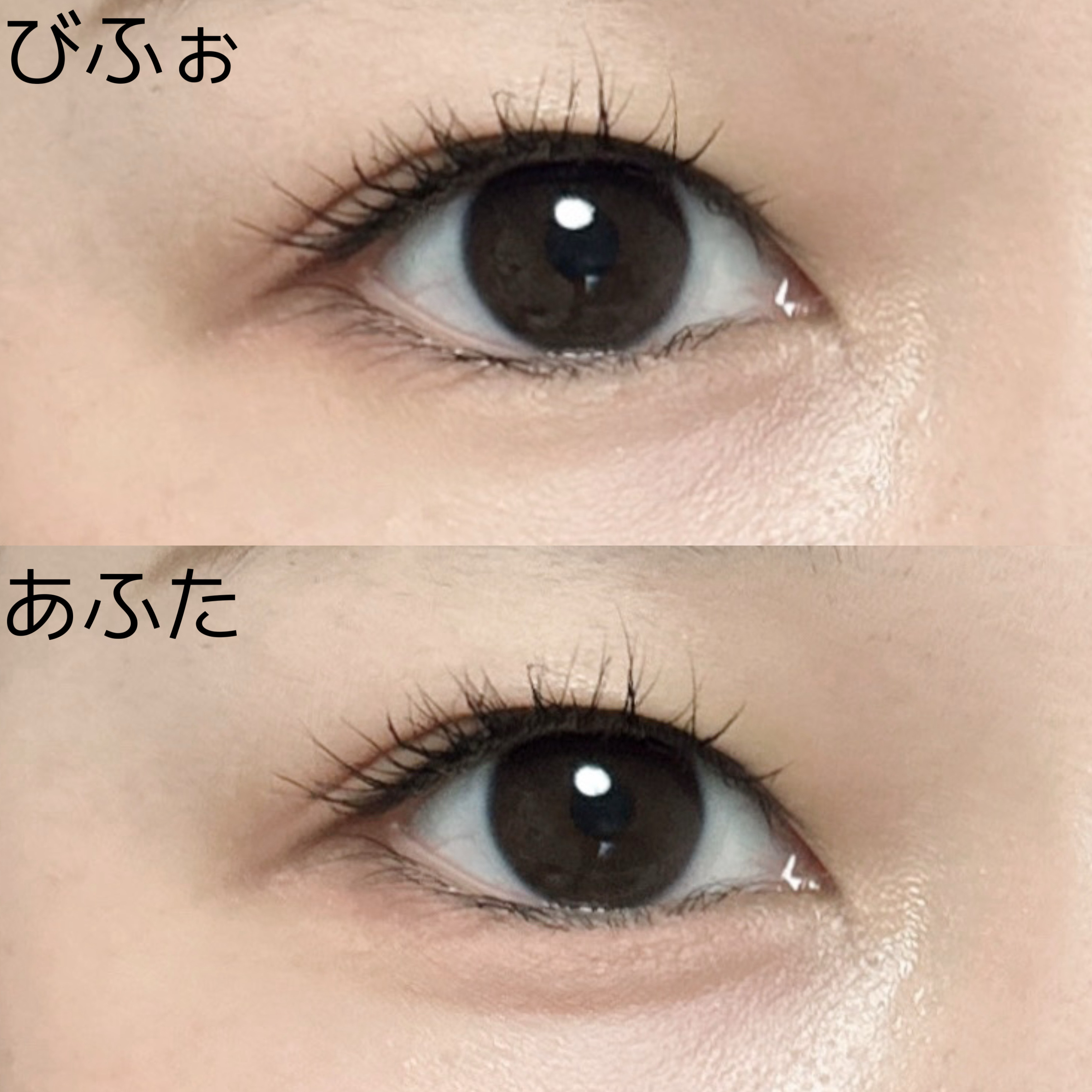 ウォンジョンヨ Ｗ デイリームードアップパレット /Wonjungyo/アイシャドウパレットを使ったクチコミ（2枚目）