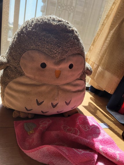 を使ったクチコミ(3枚目)