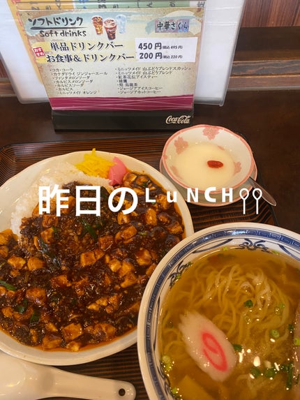 食べてもどっさりスリム茶/井藤漢方製薬/ドリンクを使ったクチコミ(1枚目)