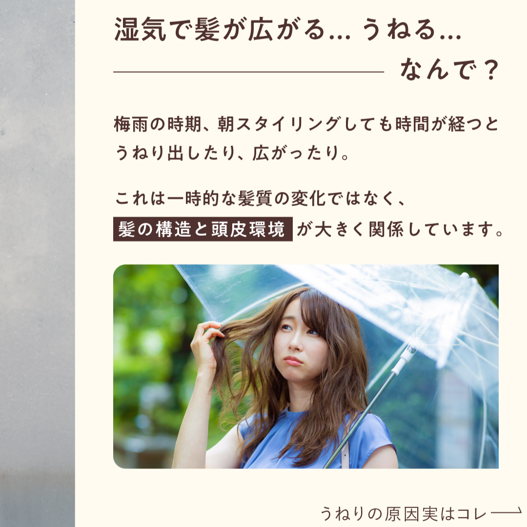 ボンリペア シャンプー/トリートメント/bonparme/シャンプー・コンディショナーを使ったクチコミ（2枚目）