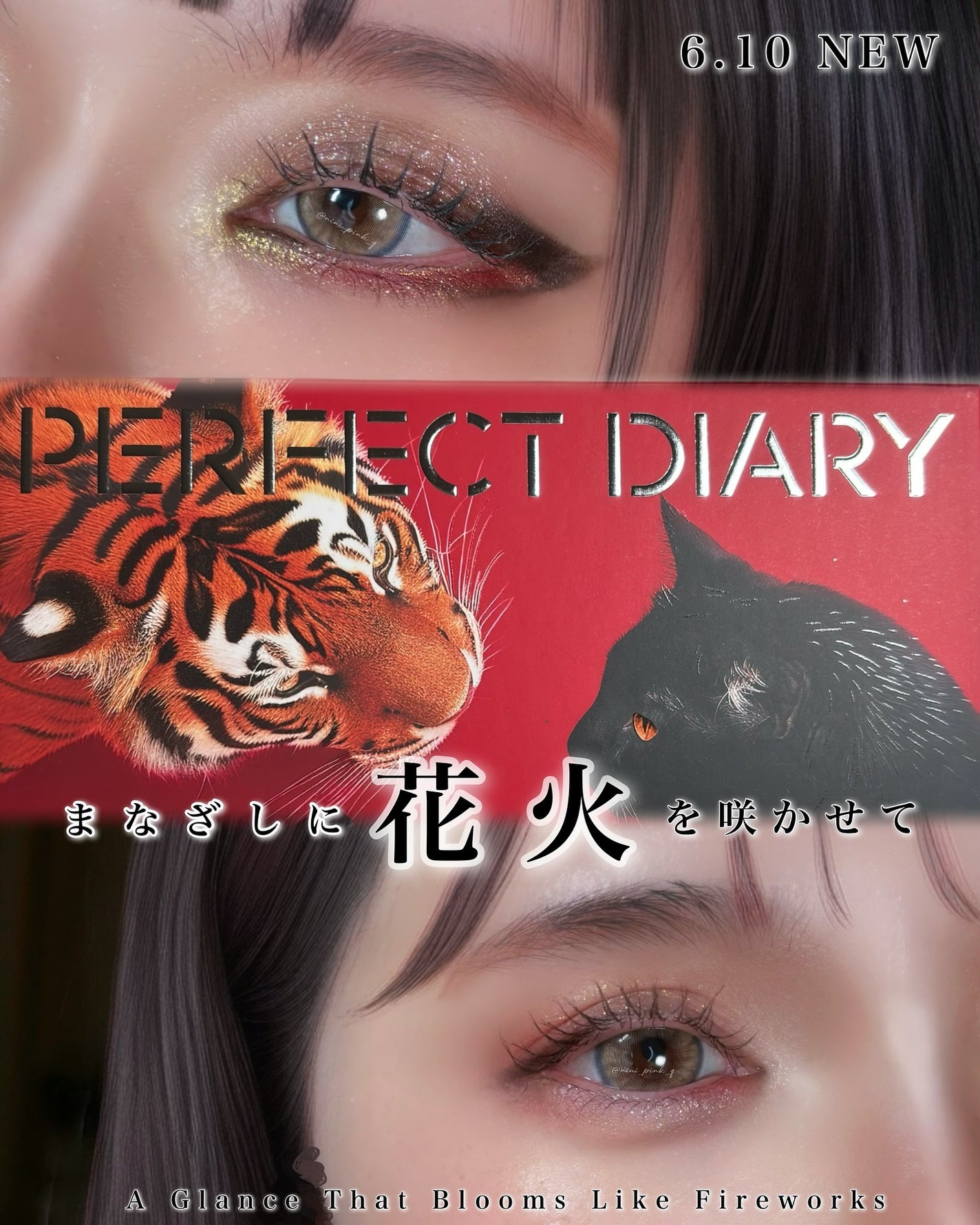 エクスプローラ12色 動物アイシャドウパレット/PERFECT DIARY/アイシャドウパレットを使ったクチコミ(1枚目)