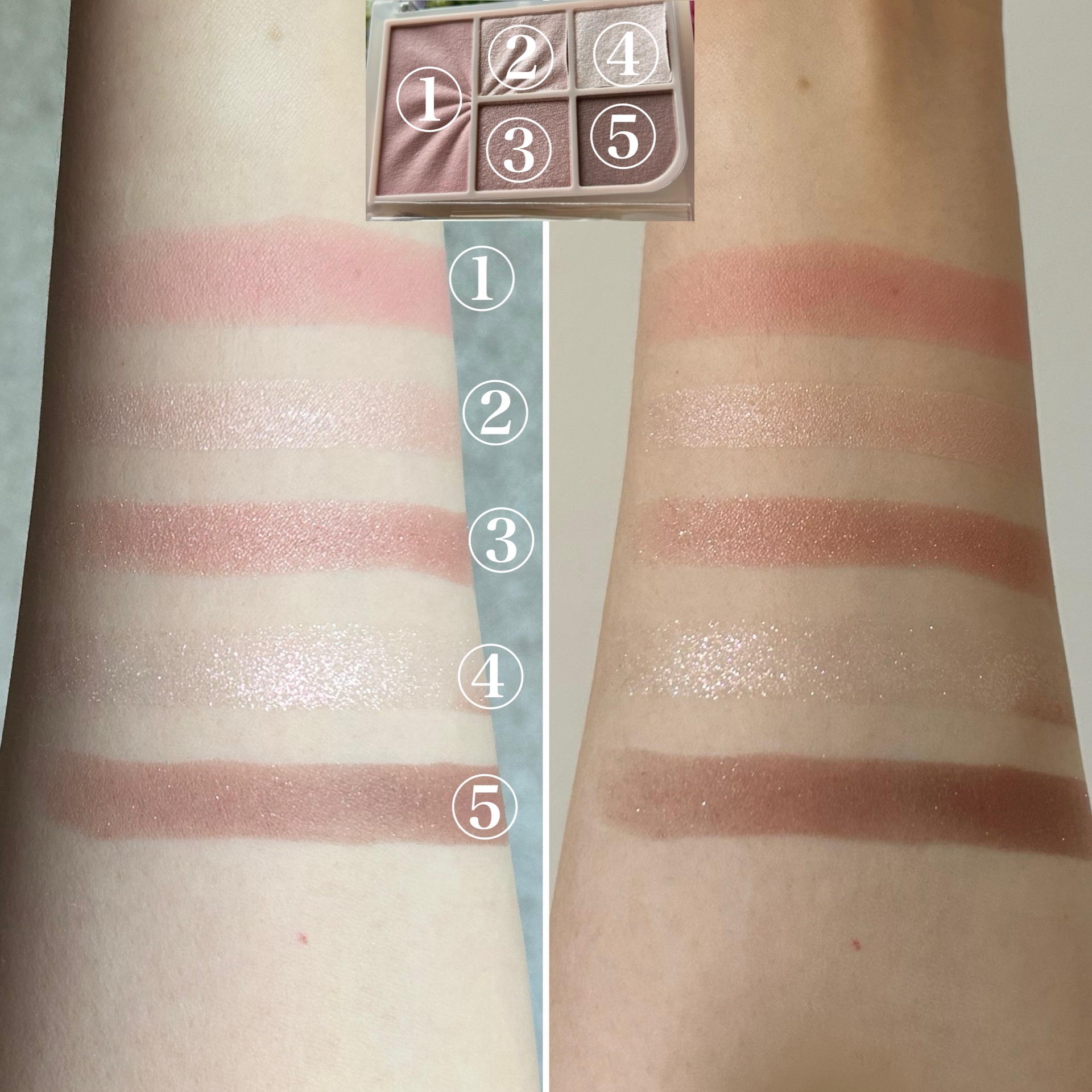 フェイスアイパレット/CEZANNE/アイシャドウを使ったクチコミ（3枚目）