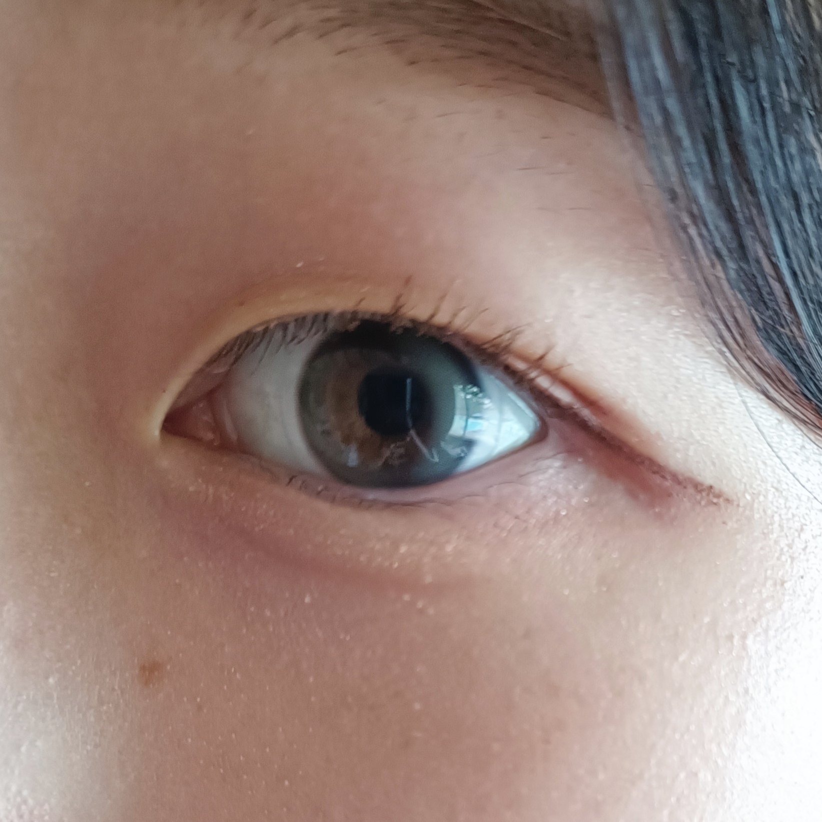 Double Tint 1day/OLENS/カラーコンタクトレンズを使ったクチコミ（2枚目）