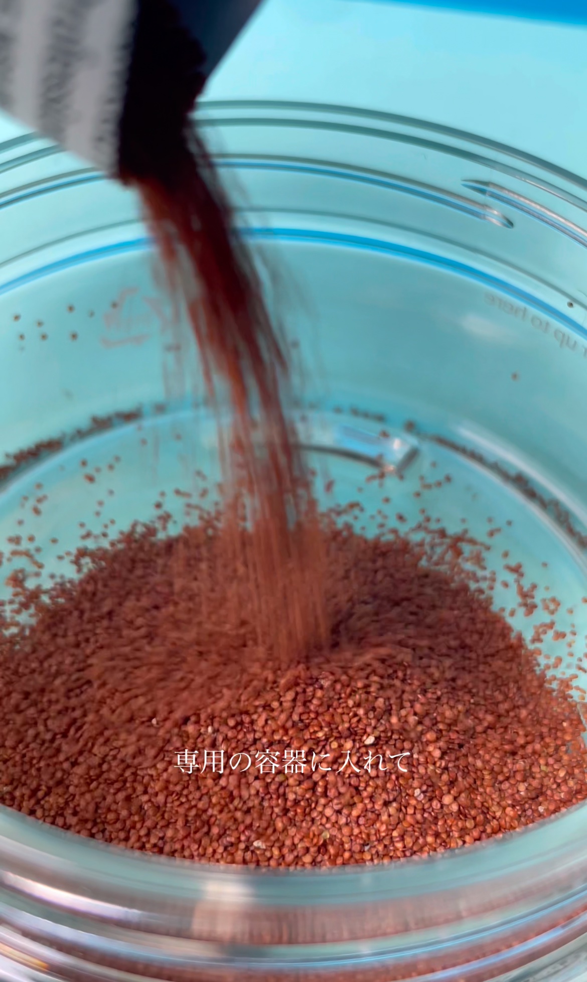 パウダークールモイスチャーパック　 海藻モデリングパック/COSEUL/シートマスク・パックを使ったクチコミ（3枚目）