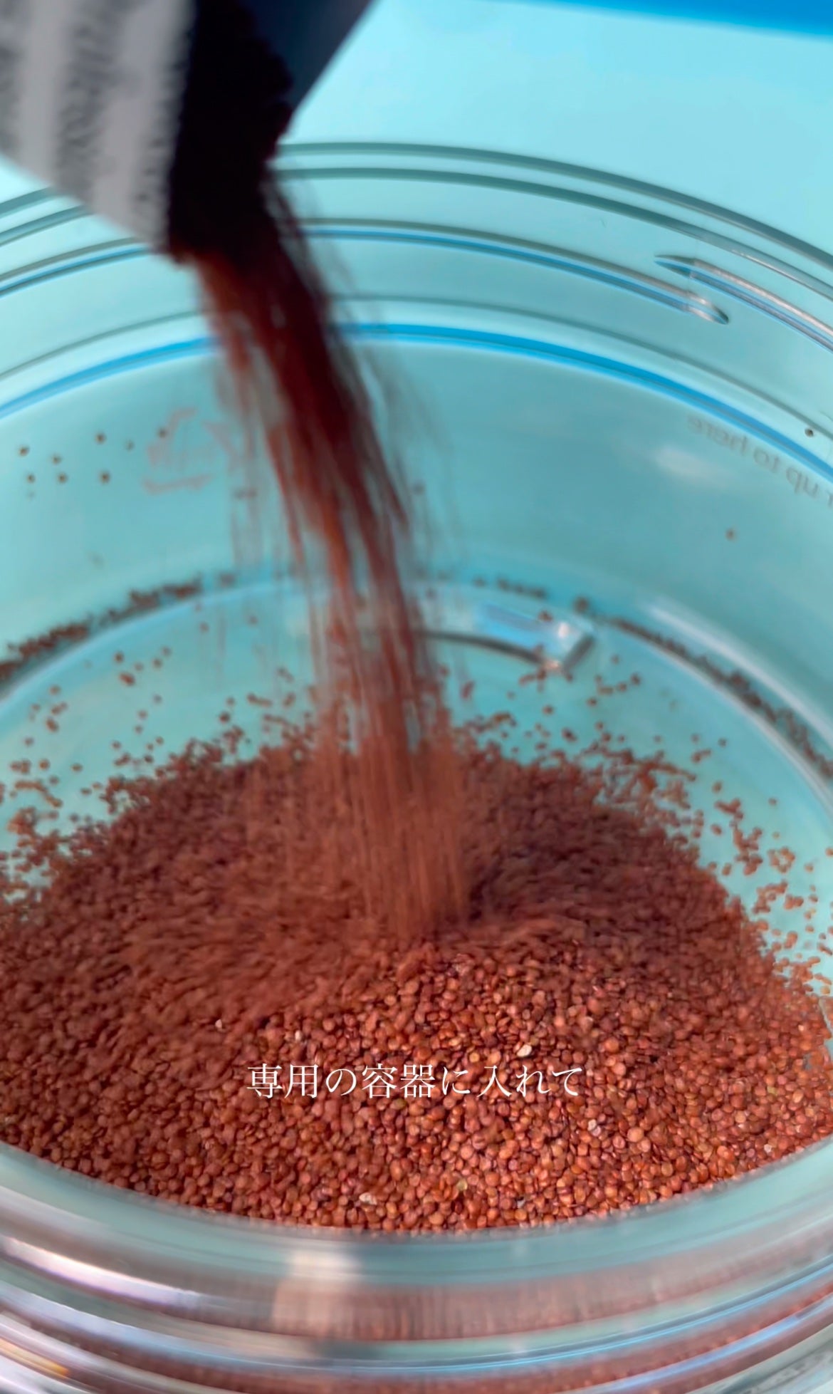 パウダークールモイスチャーパック 海藻モデリングパック/COSEUL/シートマスク・パックを使ったクチコミ(3枚目)