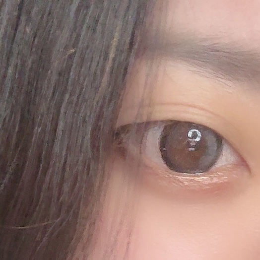 secretcandymagic 1day(シークレットキャンディーマジック） プルモグレー/secret candymagic/ワンデー（１DAY）カラコンを使ったクチコミ（1枚目）