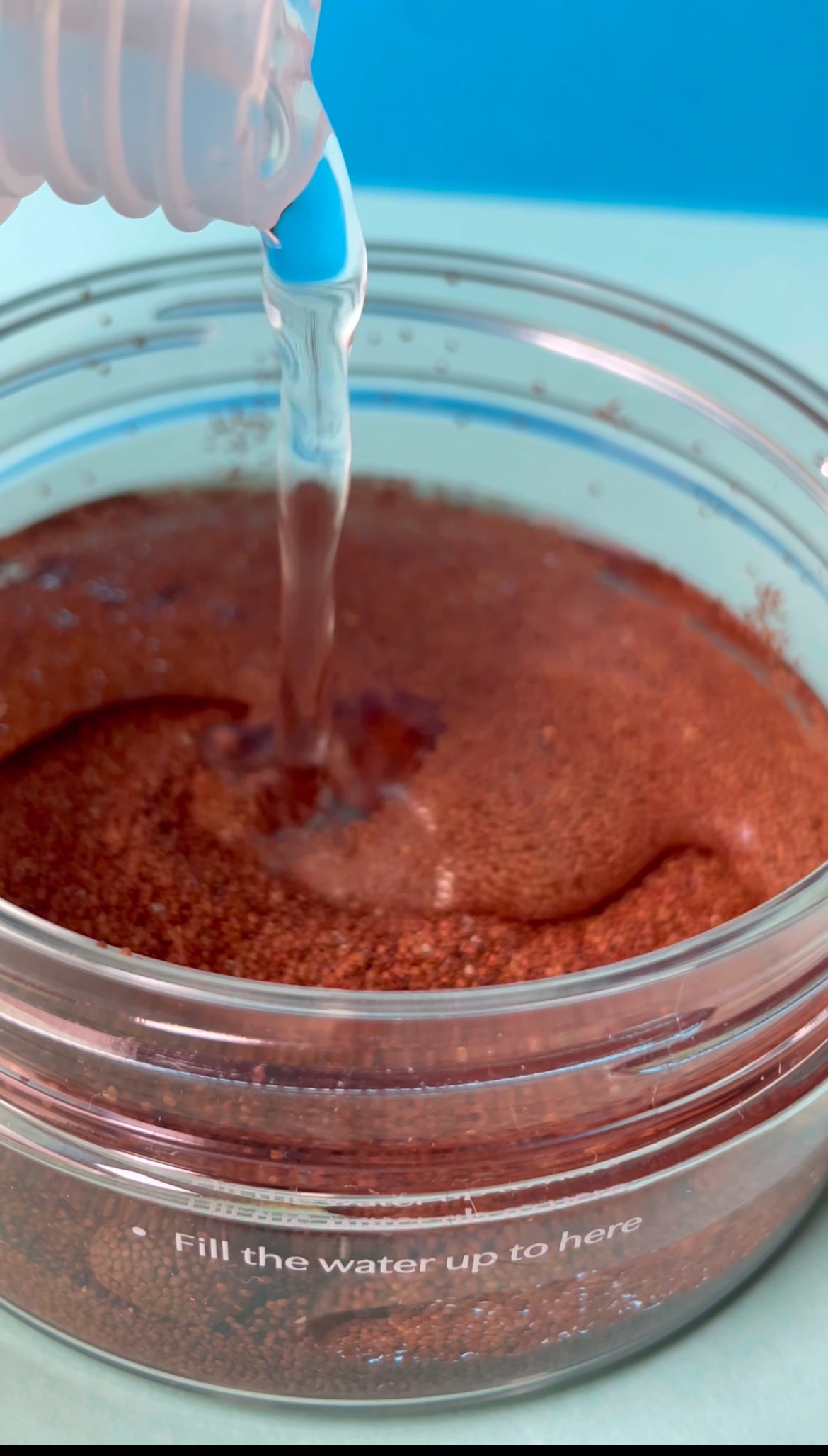 パウダークールモイスチャーパック 海藻モデリングパック/COSEUL/シートマスク・パックを使ったクチコミ(4枚目)