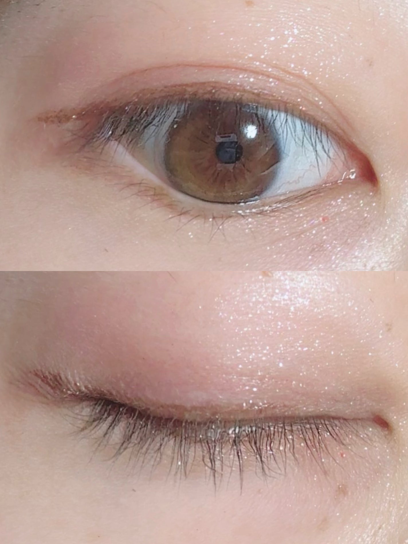 シャドウパレット/dasique/アイシャドウパレットを使ったクチコミ(2枚目)