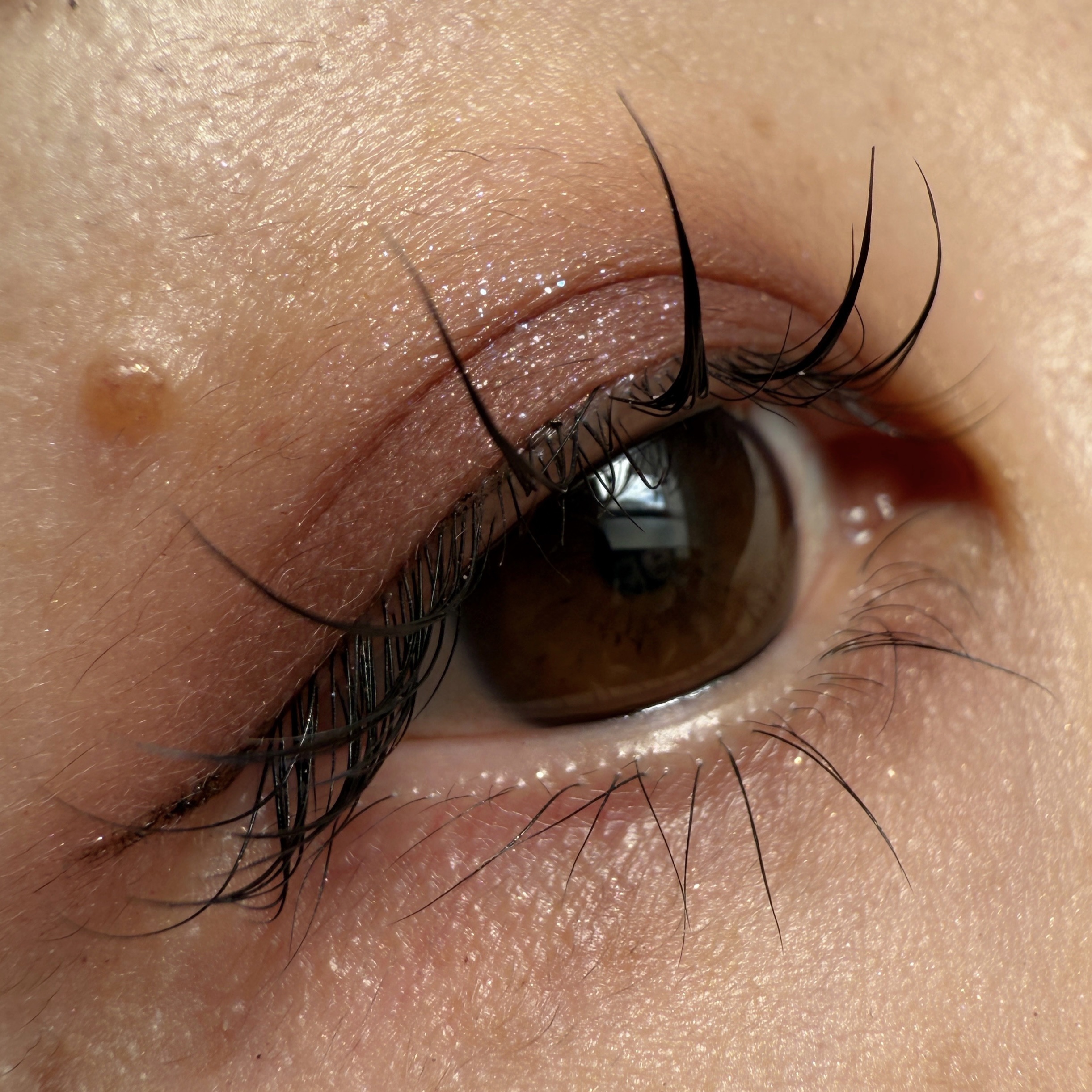 ルナソル モノアイカラーレーション/LUNASOL/単色アイシャドウを使ったクチコミ（1枚目）