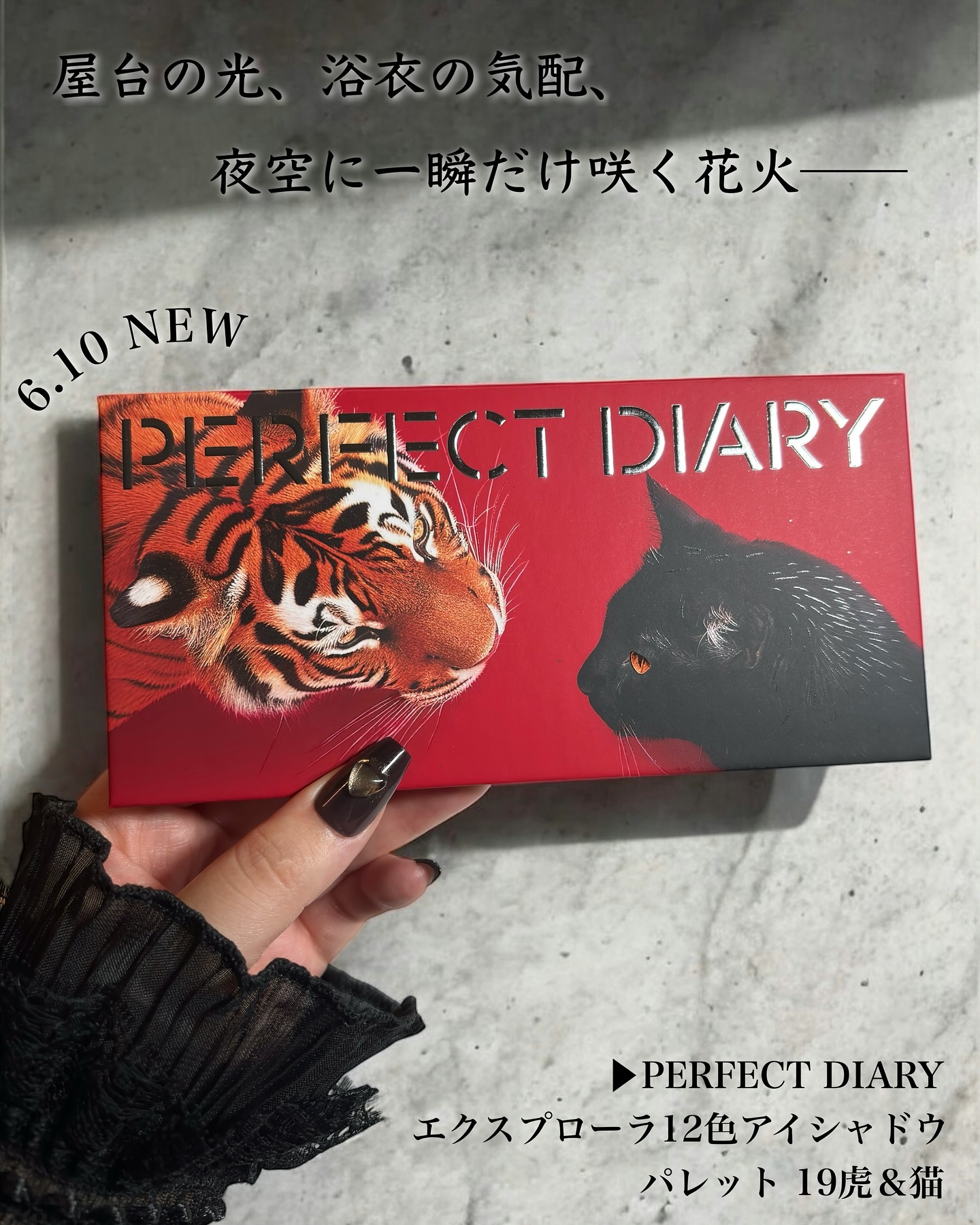 エクスプローラ12色 動物アイシャドウパレット/PERFECT DIARY/アイシャドウパレットを使ったクチコミ（2枚目）