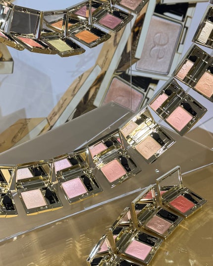 エレガンス プレジール アイズ/Elégance/単色アイシャドウを使ったクチコミ(4枚目)