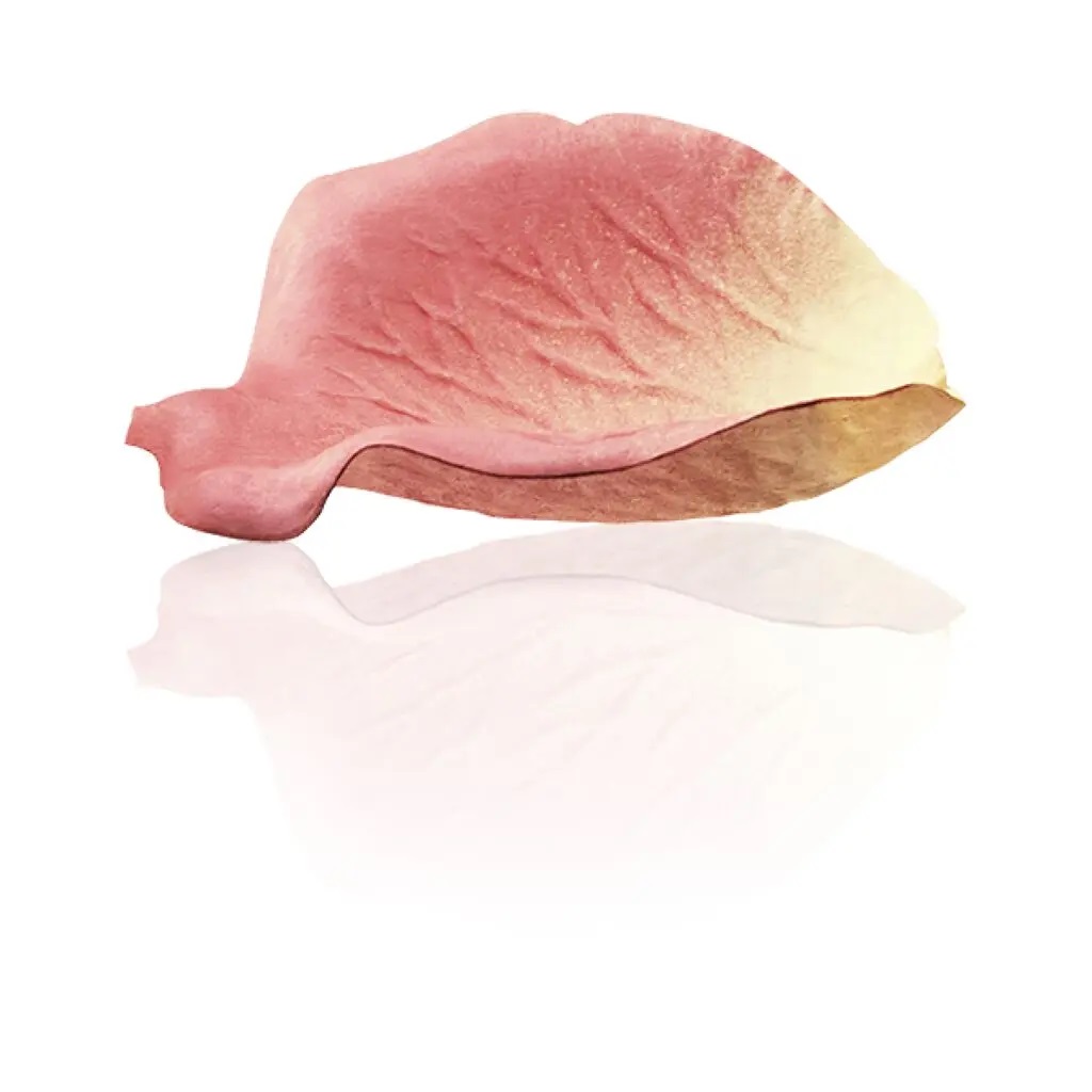 01 Ninon (ニノン)