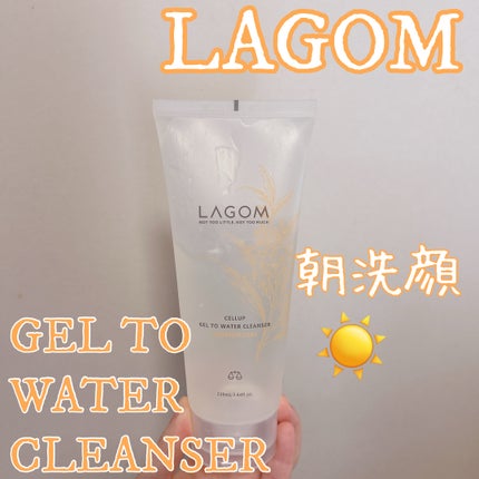 ジェルトゥウォーター クレンザー(KI)(朝洗顔料)/LAGOM /その他洗顔料を使ったクチコミ(1枚目)
