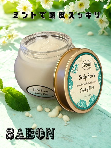 ヘッドスクラブ リフレッシング(ミント)/SABON/ヘッドスクラブを使ったクチコミ(1枚目)
