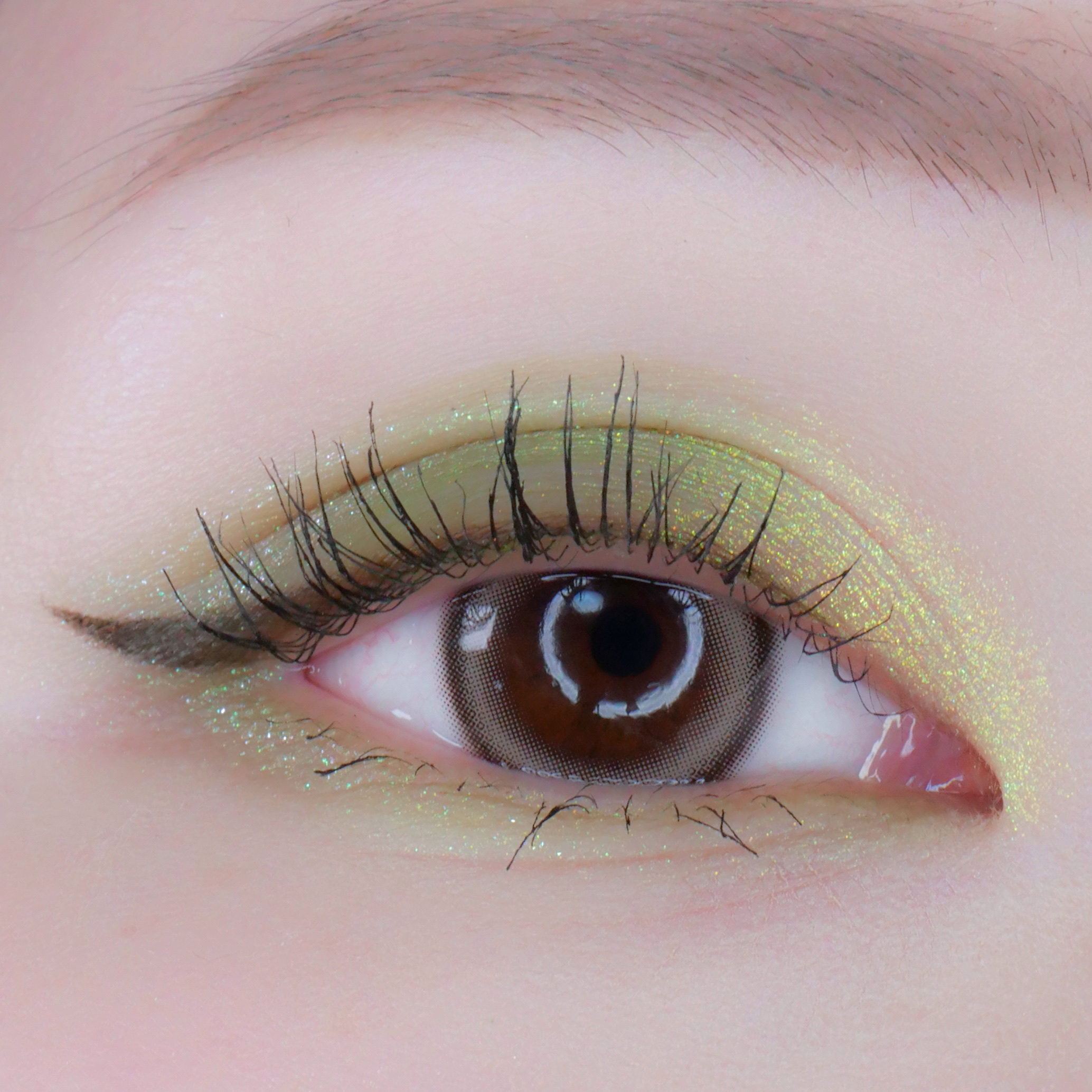 ANGÉLIQUE 1day ネコベージュ(Neko Beige)/ANGÉLIQUE/ワンデー（１DAY）カラコンを使ったクチコミ（1枚目）