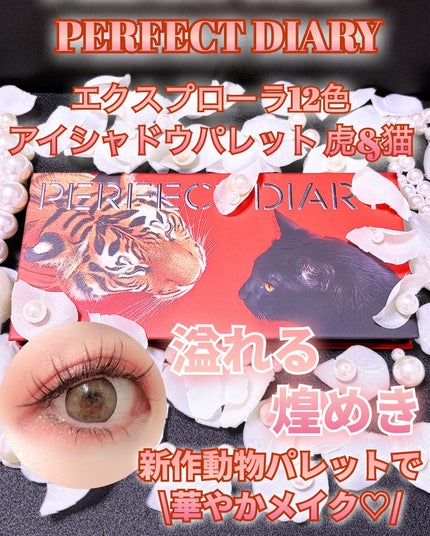 エクスプローラ12色 動物アイシャドウパレット/PERFECT DIARY/アイシャドウパレットを使ったクチコミ(1枚目)