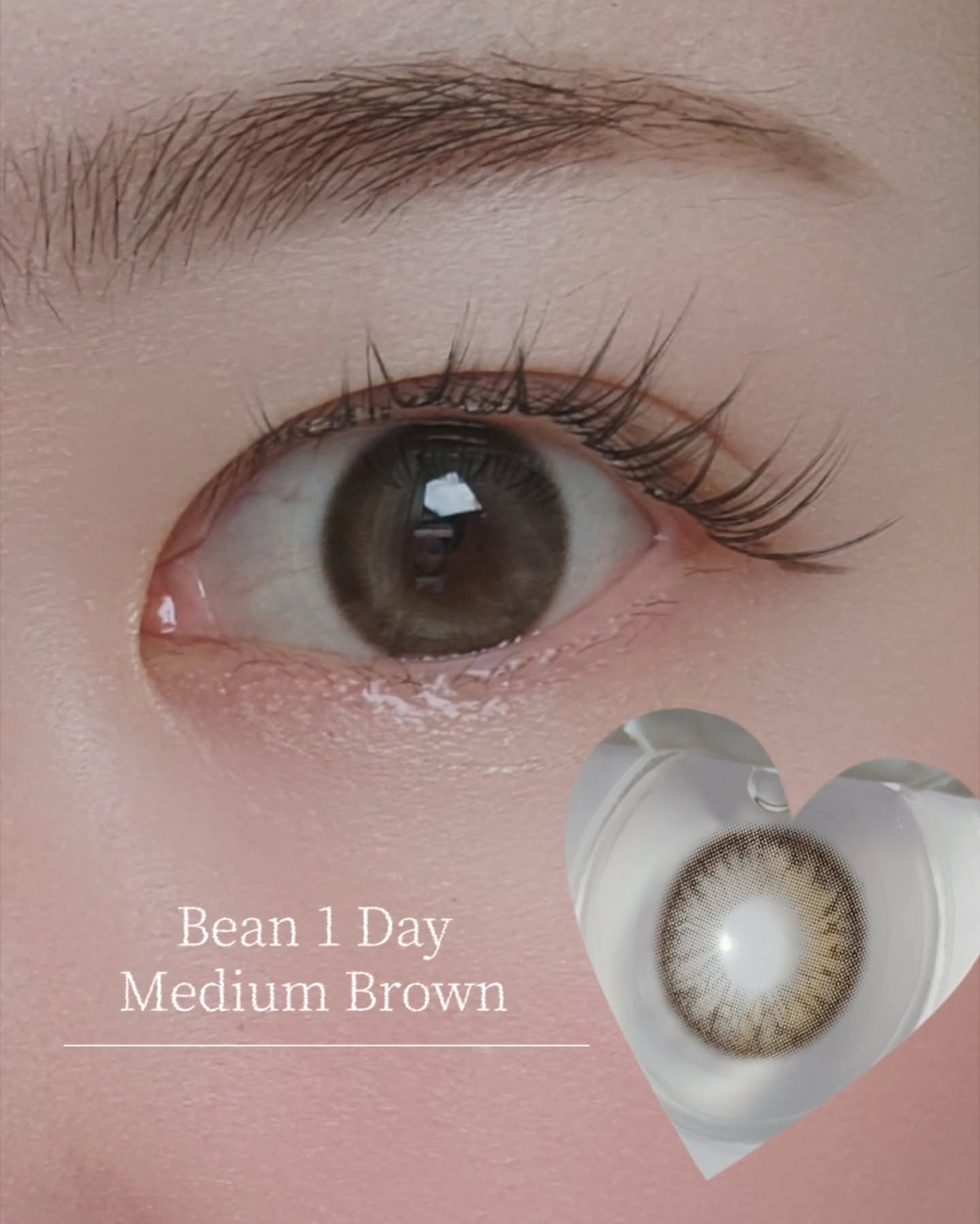 Bean Kristin 1day ミディアムブラウン/Hapa kristin/ワンデー（１DAY）カラコンを使ったクチコミ（2枚目）