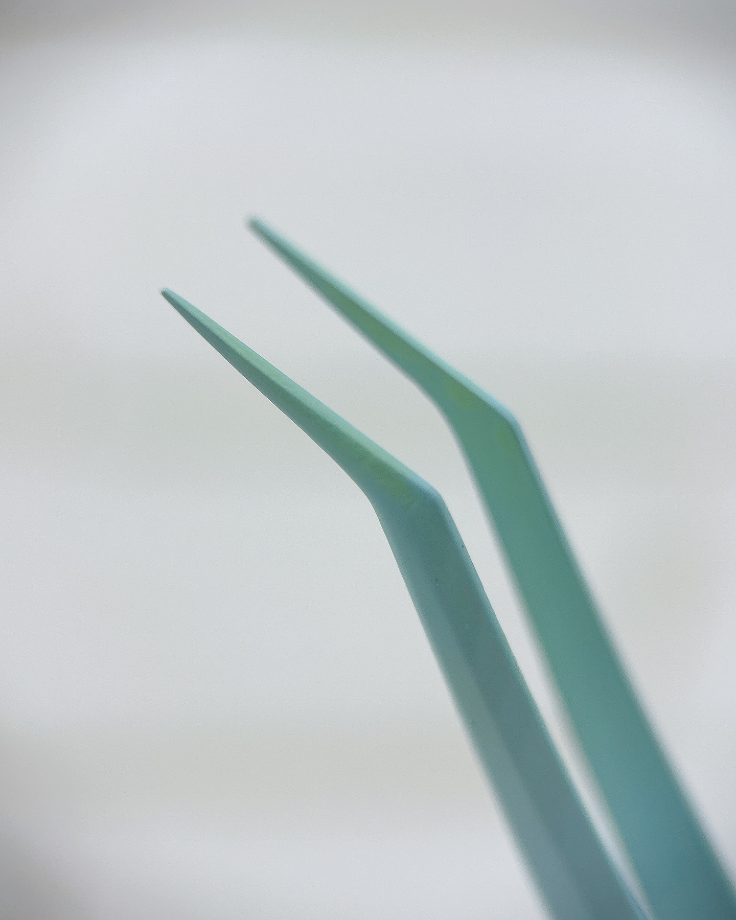 Butterfly Eyelash/BLJ/つけまつげを使ったクチコミ（3枚目）