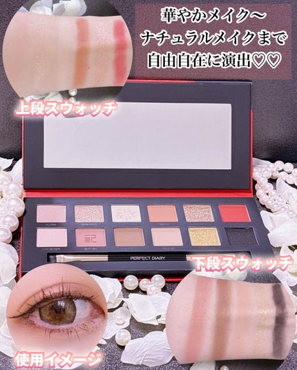 エクスプローラ12色 動物アイシャドウパレット/PERFECT DIARY/アイシャドウパレットを使ったクチコミ(3枚目)