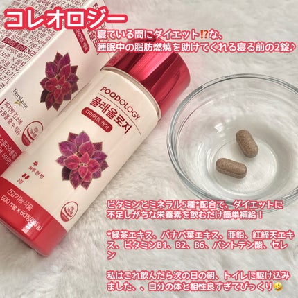 コレオロジーティー/FOODOLOGY/ドリンクを使ったクチコミ(5枚目)