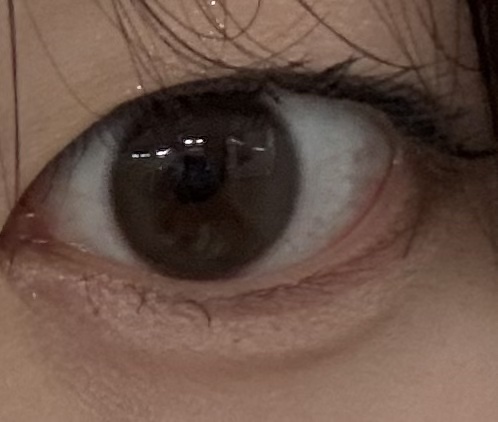 エバーカラーワンデー マシュマロミルク/エバーカラー/ワンデー（１DAY）カラコンを使ったクチコミ（1枚目）