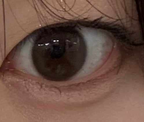 エバーカラーワンデー マシュマロミルク/エバーカラー/ワンデー(1DAY)カラコンを使ったクチコミ(1枚目)