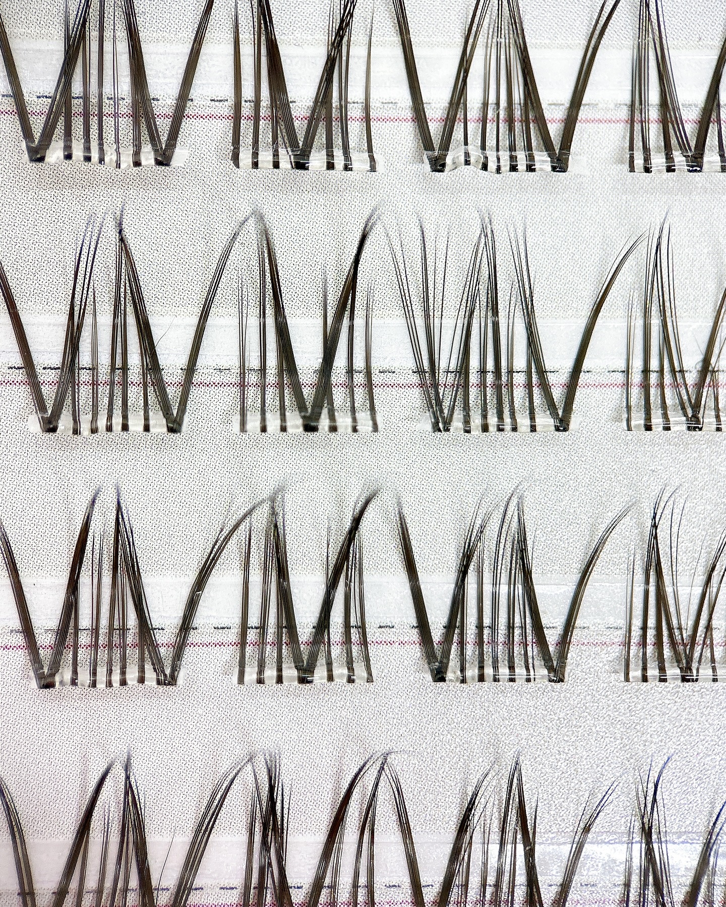 Butterfly Eyelash/BLJ/つけまつげを使ったクチコミ（2枚目）