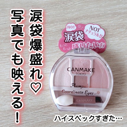 プランぷくコーデアイズNeo/キャンメイク/アイシャドウを使ったクチコミ(1枚目)