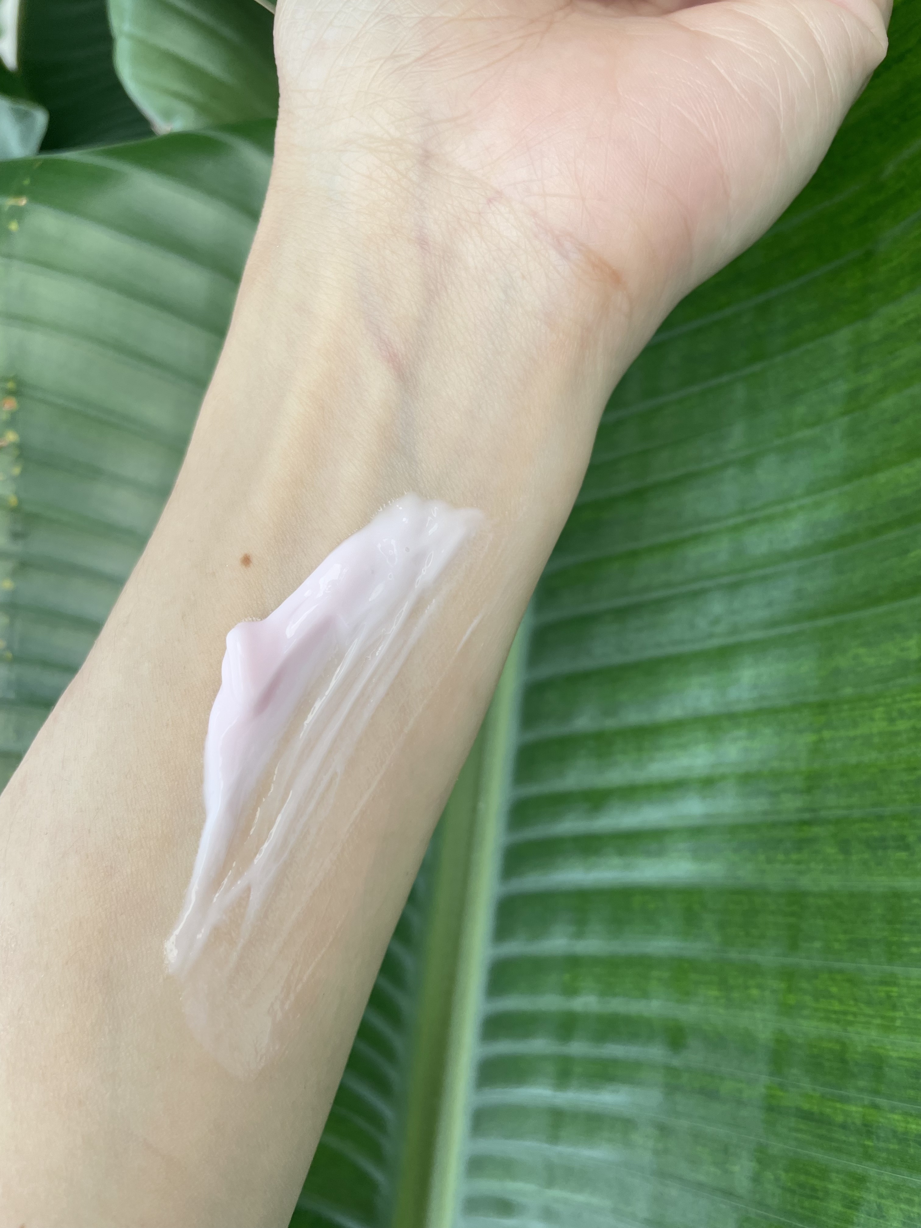 ポアコラーゲンペプチドクリーム/Biodance/フェイスクリームを使ったクチコミ（3枚目）