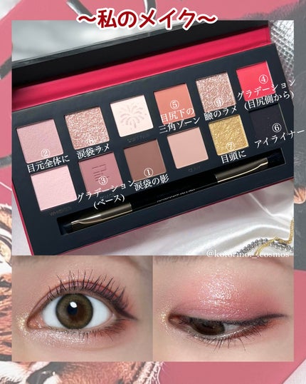 エクスプローラ12色 動物アイシャドウパレット/PERFECT DIARY/アイシャドウパレットを使ったクチコミ(6枚目)