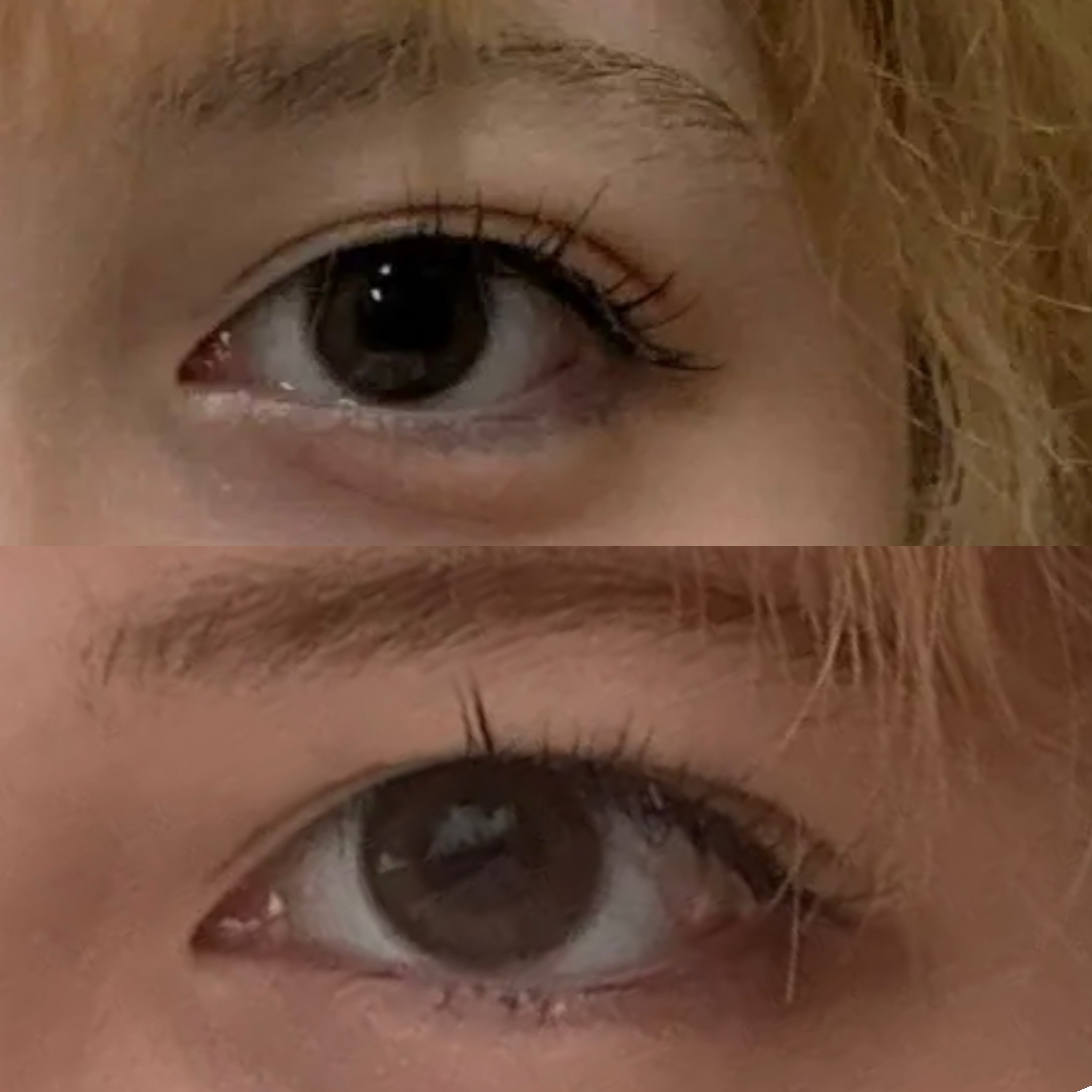 FONDUE/FONDUE（フォンデュ）/カラーコンタクトレンズを使ったクチコミ（1枚目）