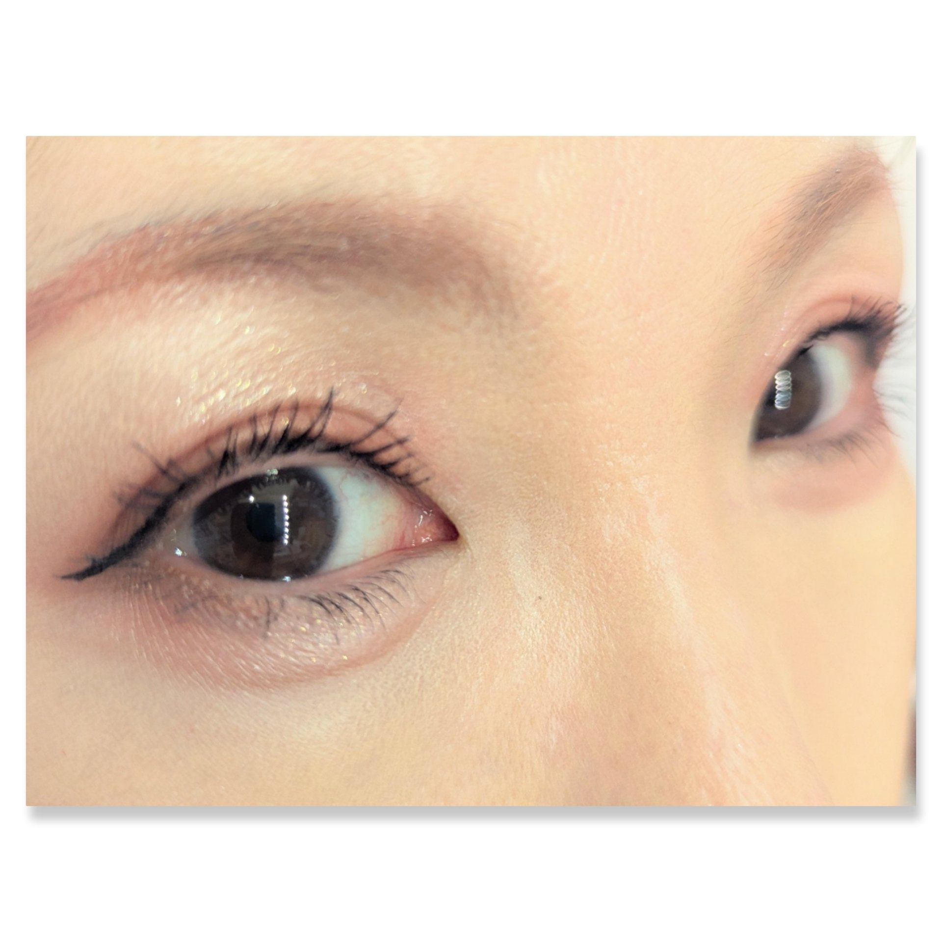 ジュエリーシャドウベール/キャンメイク/アイシャドウパレットを使ったクチコミ（2枚目）