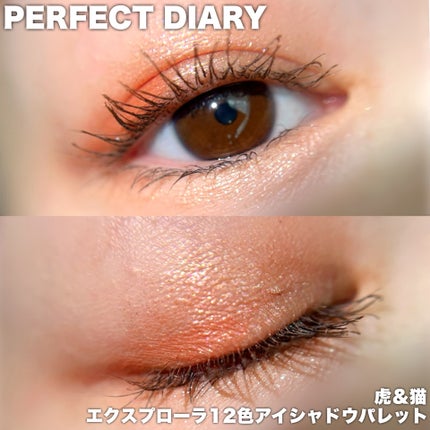 エクスプローラ12色 動物アイシャドウパレット/PERFECT DIARY/アイシャドウパレットを使ったクチコミ(4枚目)