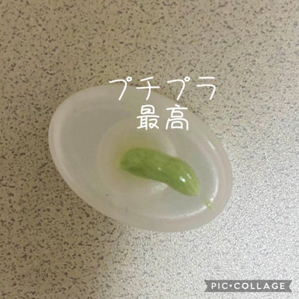 マーメイドスキンジェルUV/キャンメイク/日焼け止めジェルを使ったクチコミ(2枚目)