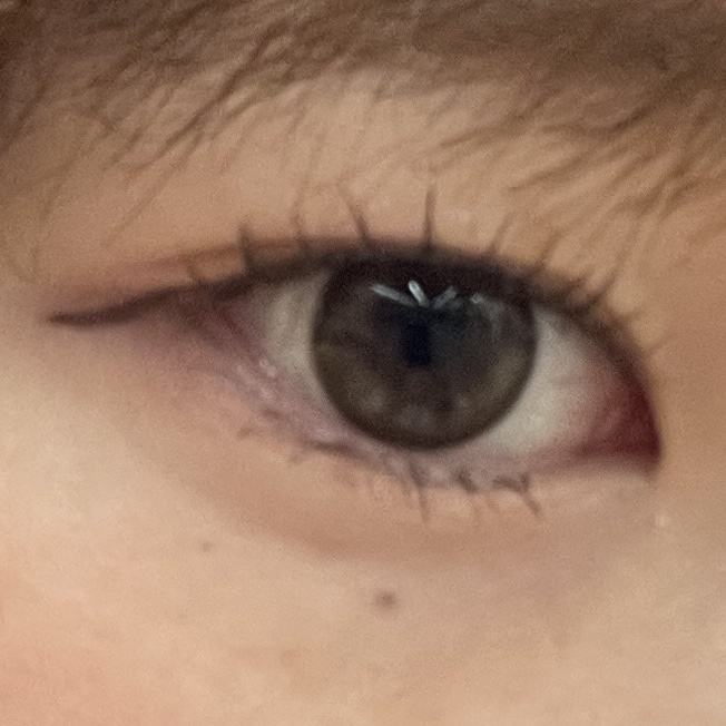 エバーカラーワンデーミリモア/エバーカラー/ワンデー（１DAY）カラコンを使ったクチコミ（3枚目）