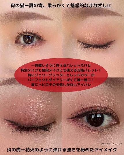 エクスプローラ12色 動物アイシャドウパレット/PERFECT DIARY/アイシャドウパレットを使ったクチコミ(5枚目)