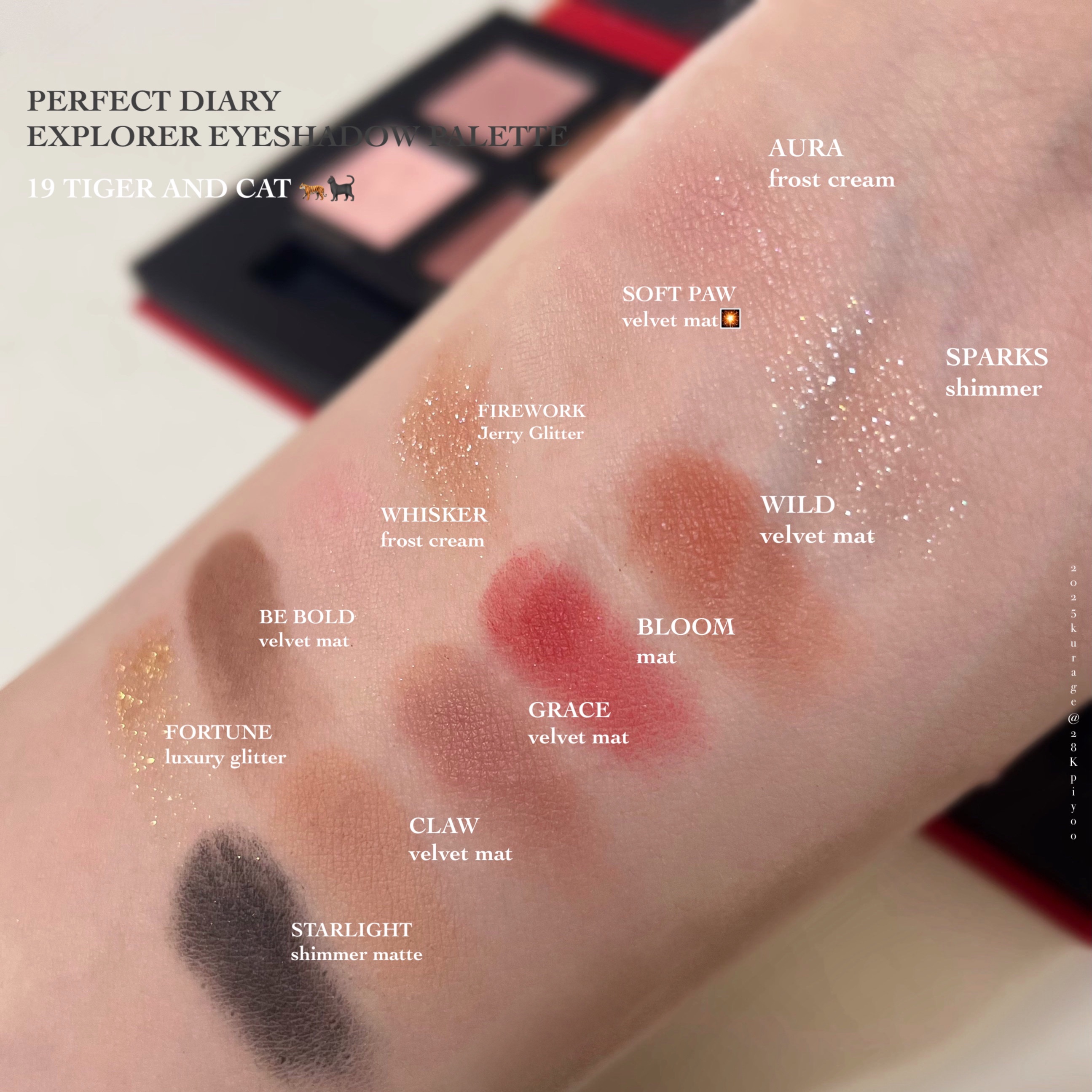 エクスプローラ12色 動物アイシャドウパレット/PERFECT DIARY/アイシャドウパレットを使ったクチコミ（3枚目）