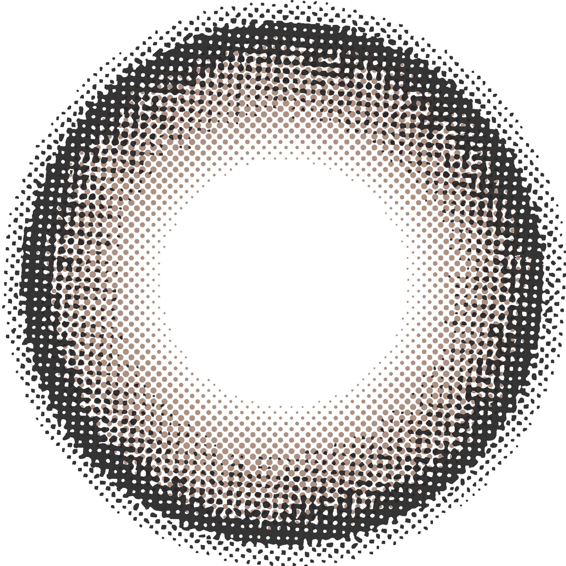 Charton 1day コーヒーブラウニー