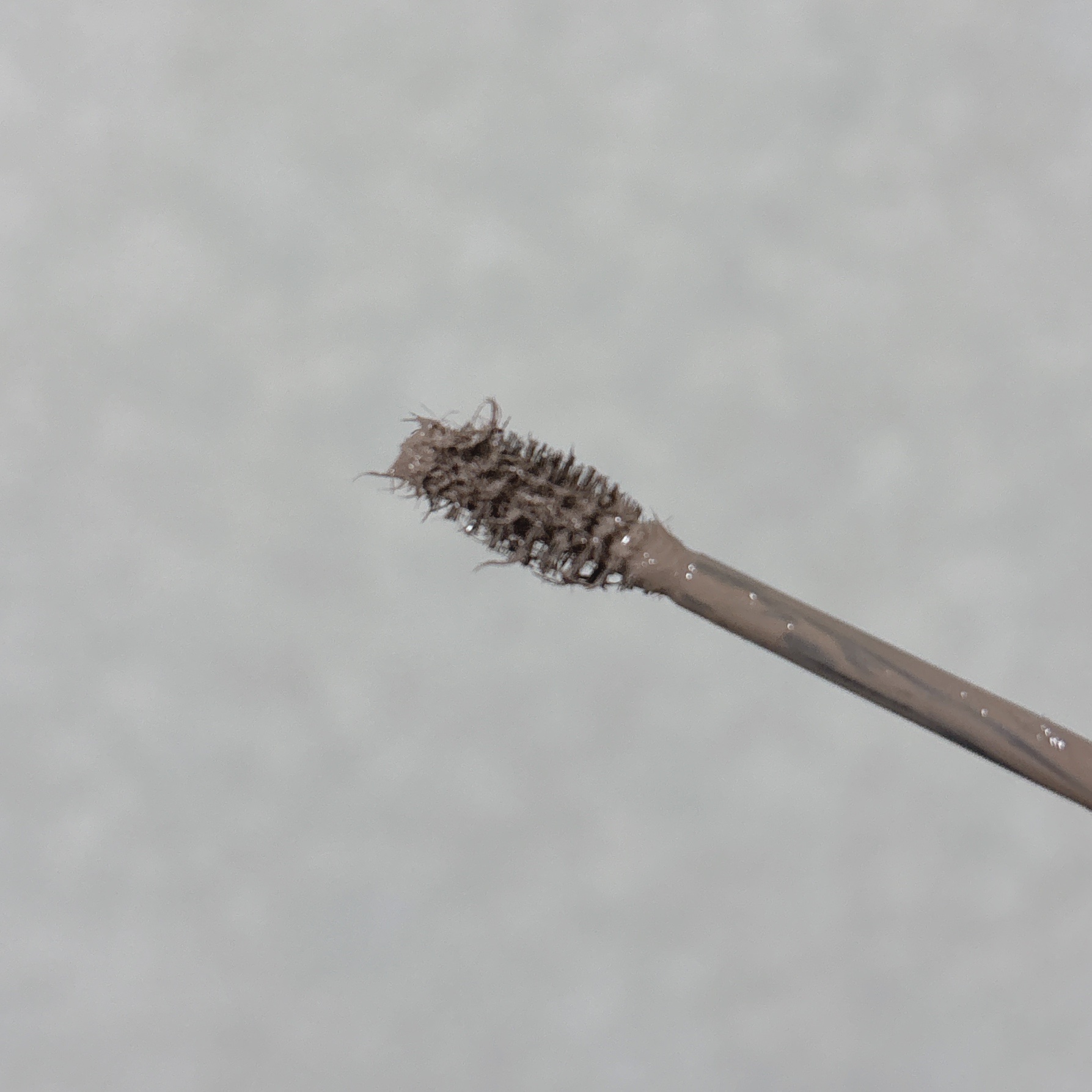 フラッフデザイン アイブロウカラー/Visée/眉マスカラを使ったクチコミ（2枚目）