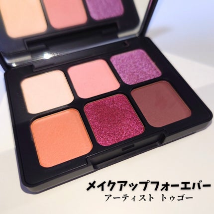 アーティスト トゥ ゴー/MAKE UP FOR EVER/アイシャドウパレットを使ったクチコミ(1枚目)