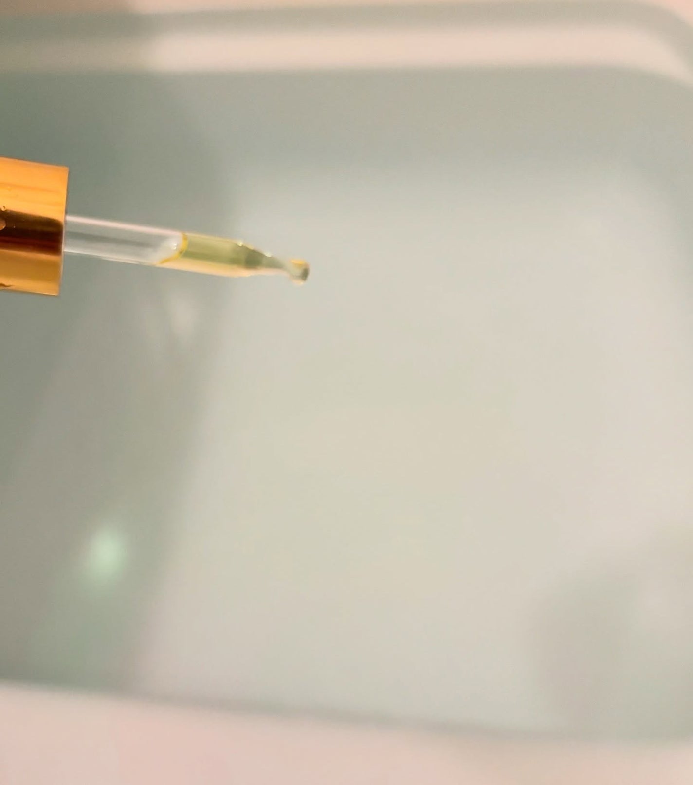 EASECBD HARMONY OF BLOSSOMS/EASECBD/その他を使ったクチコミ(2枚目)