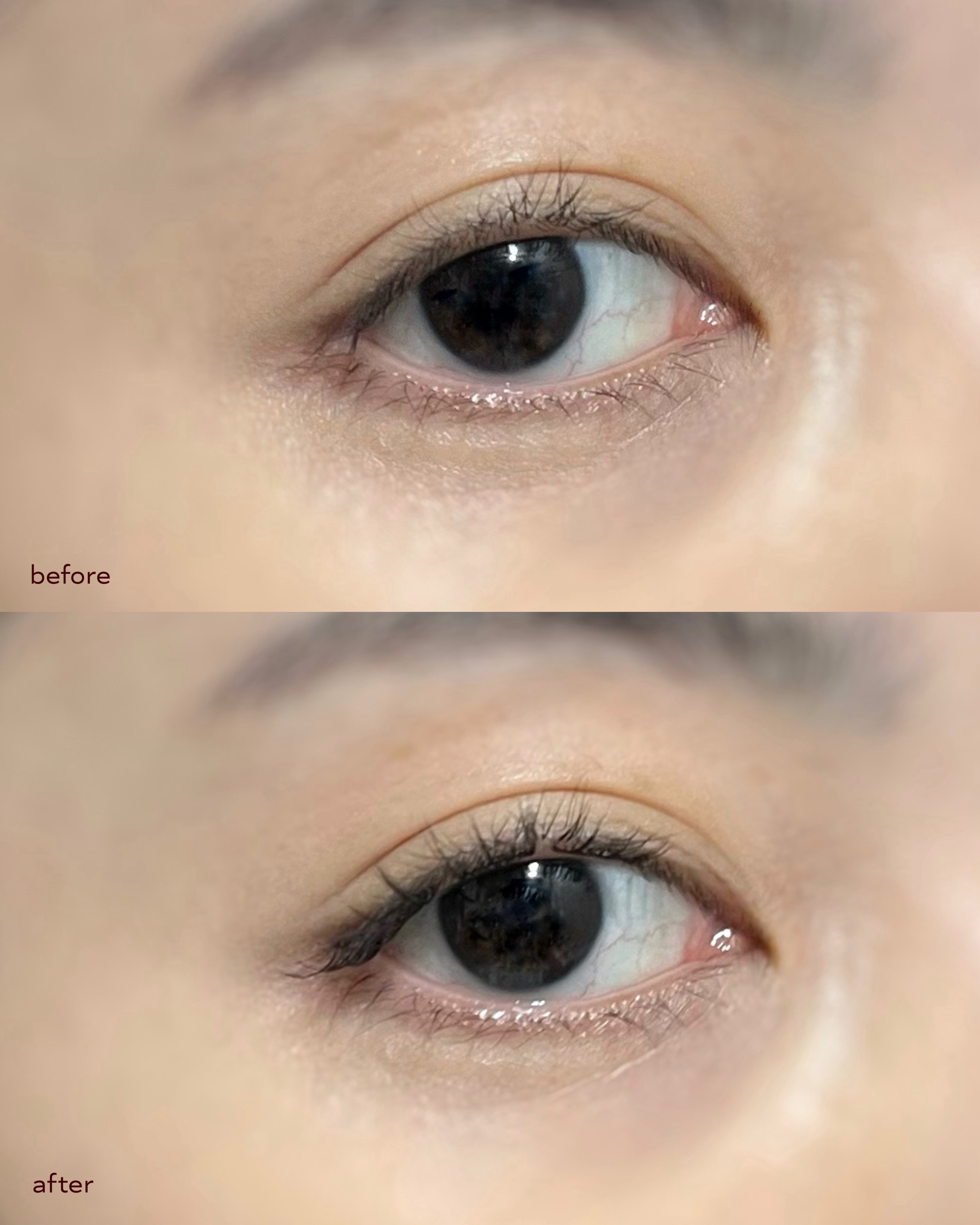 keybo BBiBBi LASH/keybo/つけまつげを使ったクチコミ（3枚目）