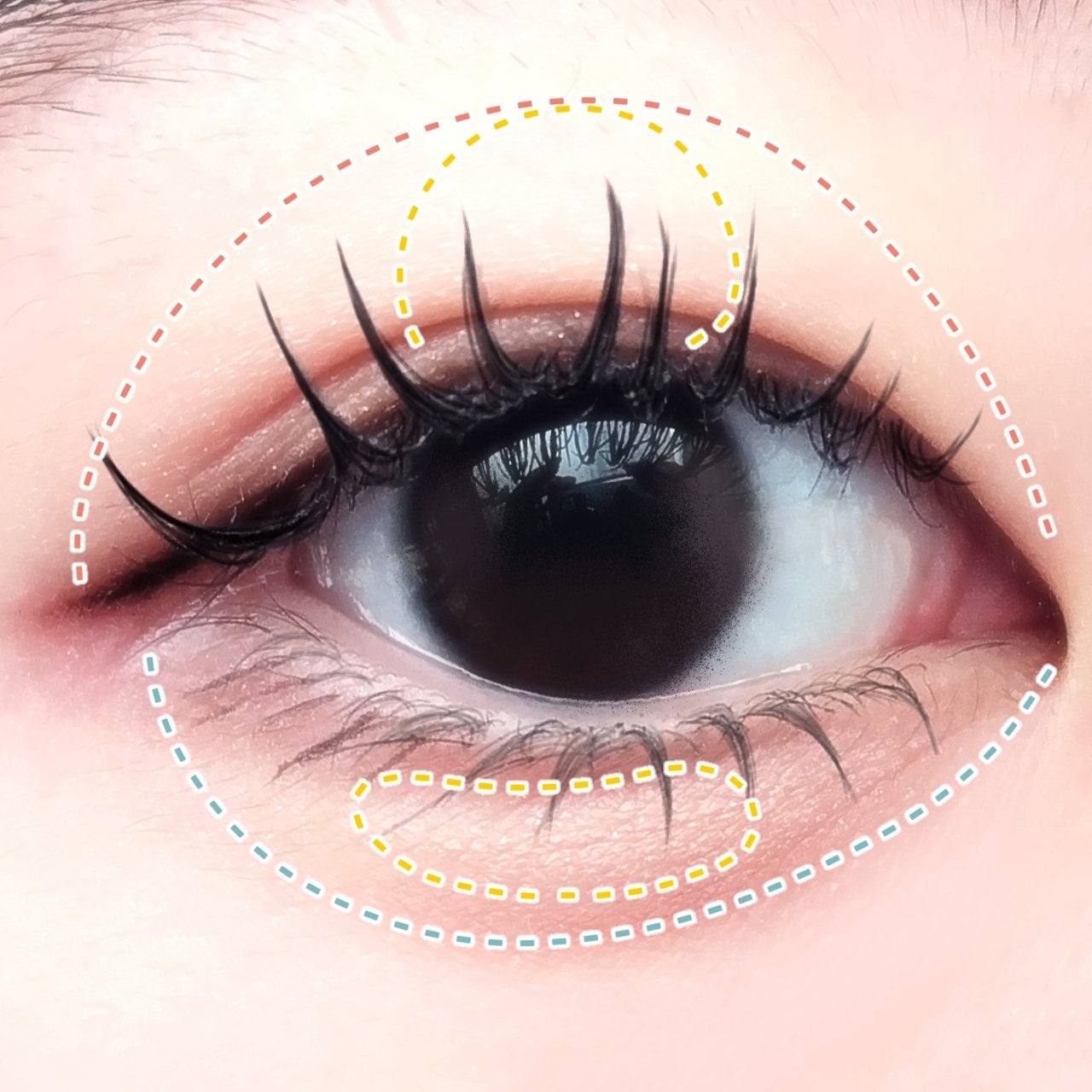 ロング&カールマスカラ アドバンストフィルム/ヒロインメイク/マスカラを使ったクチコミ(5枚目)