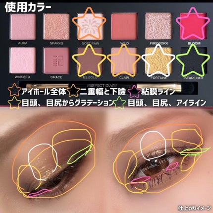 エクスプローラ12色 動物アイシャドウパレット/PERFECT DIARY/アイシャドウパレットを使ったクチコミ(4枚目)